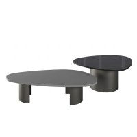 Mesa de Centro Eben Duo Tampos Orgânicos em Madeira e Vidro Pintado Base Aço Carbono com Pintura Epóxi