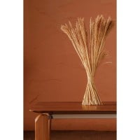 Mesa de Jantar Palla Tampo Retangular em Lâmina de Madeira Base em Madeira Tauari e Viga em Aço Carbono